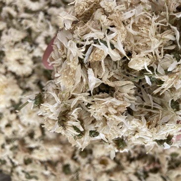 新货无硫白菊花茶散装野生黄山贡菊花大朵明目新花