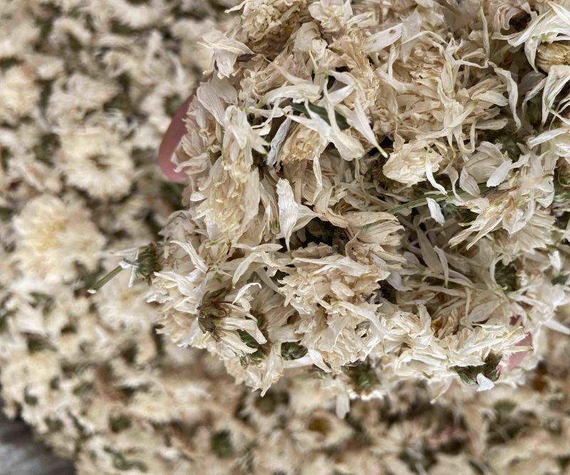 新货无硫白菊花茶散装野生黄山贡菊花大朵明目新花