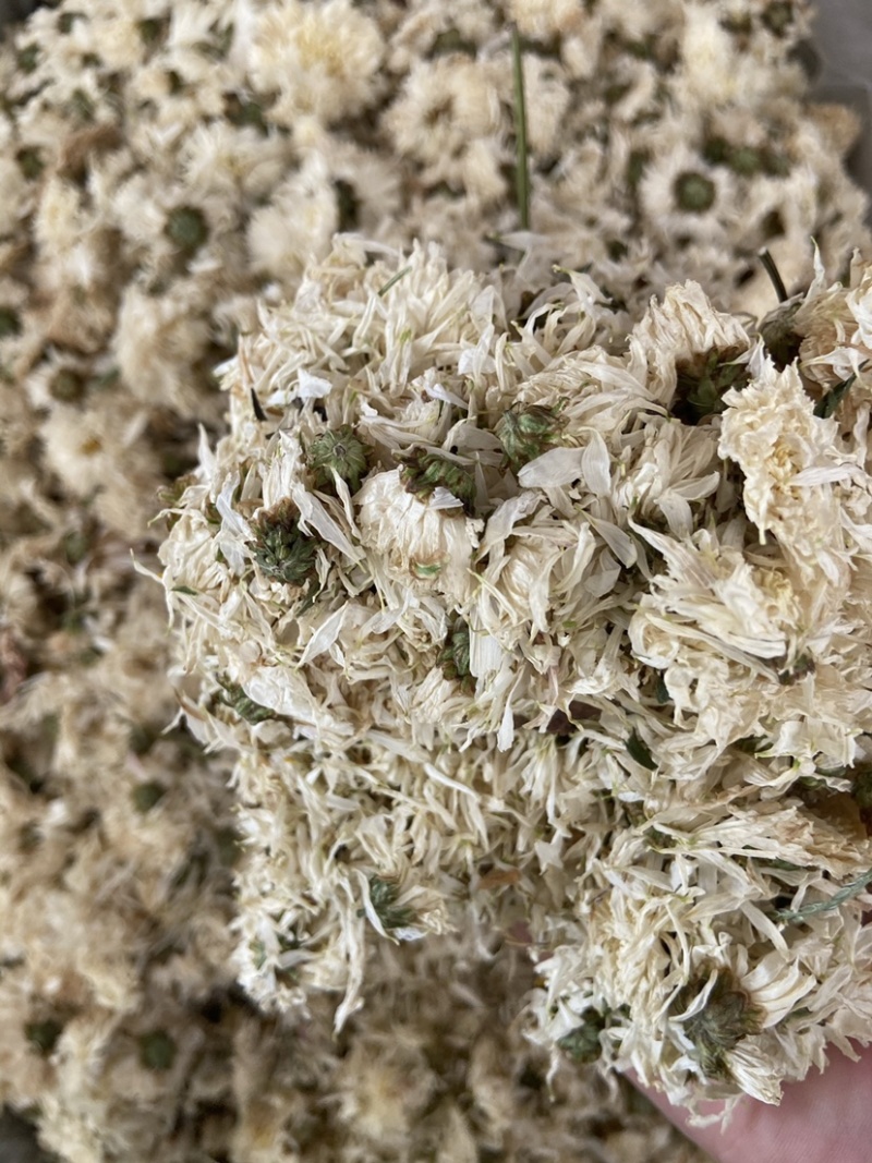 新货无硫白菊花茶散装野生黄山贡菊花大朵明目新花