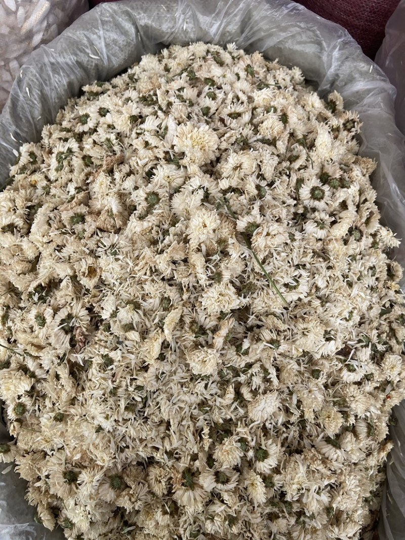 新货无硫白菊花茶散装野生黄山贡菊花大朵明目新花