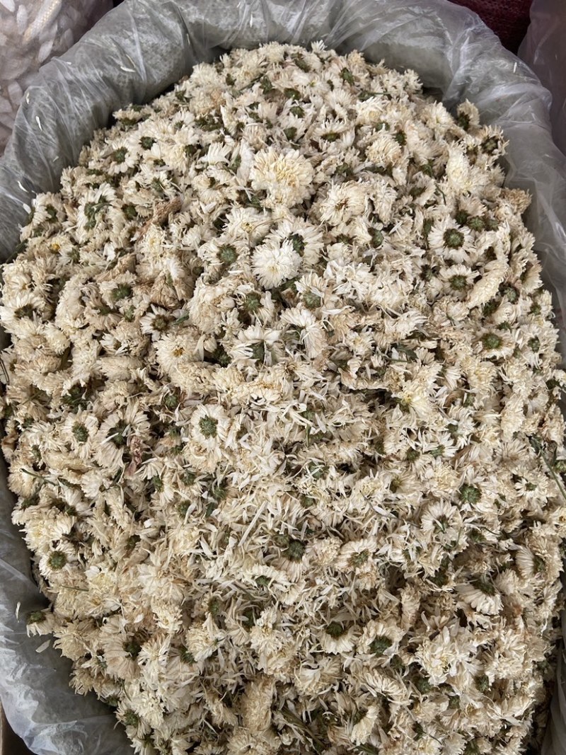 新货无硫白菊花茶散装野生黄山贡菊花大朵明目新花