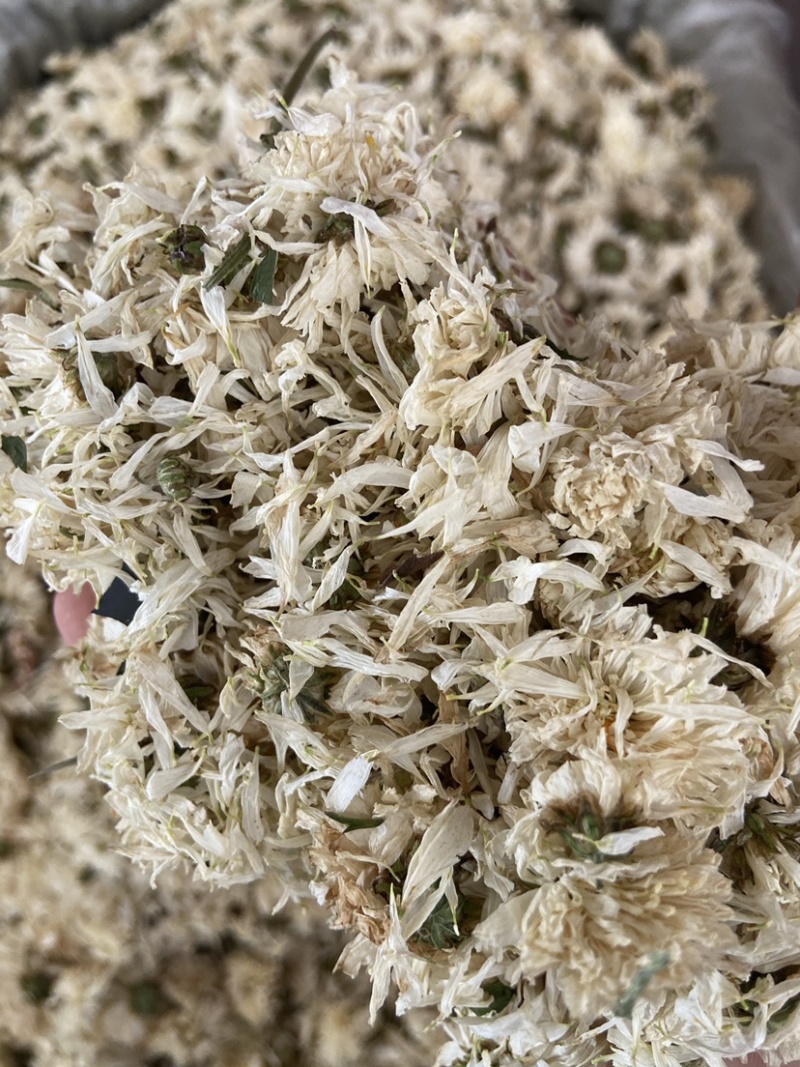 新货无硫白菊花茶散装野生黄山贡菊花大朵明目新花