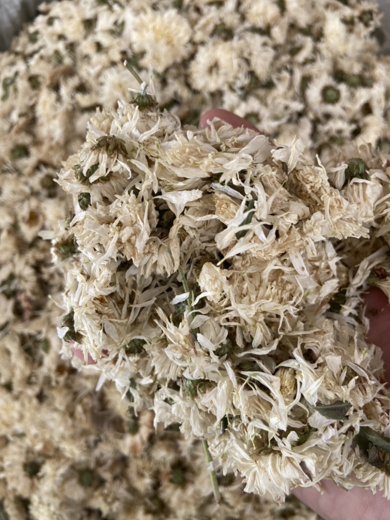 新货无硫白菊花茶散装野生黄山贡菊花大朵明目新花