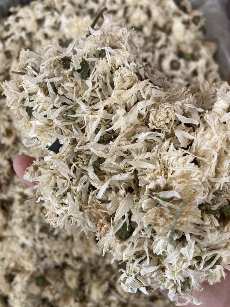 新货无硫白菊花茶散装野生黄山贡菊花大朵明目新花