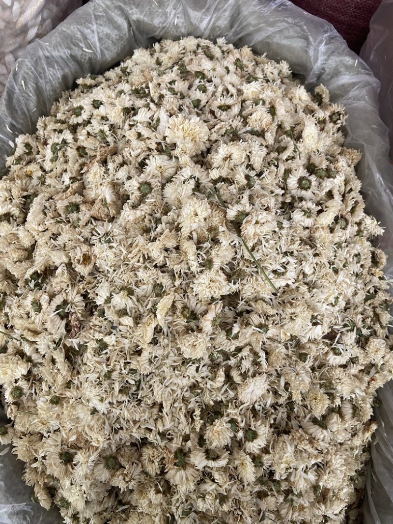 新货无硫白菊花茶散装野生黄山贡菊花大朵明目新花