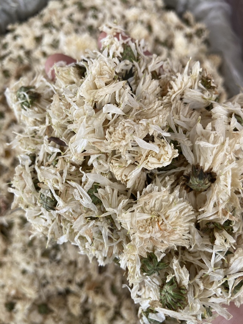 新货无硫白菊花茶散装野生黄山贡菊花大朵明目新花