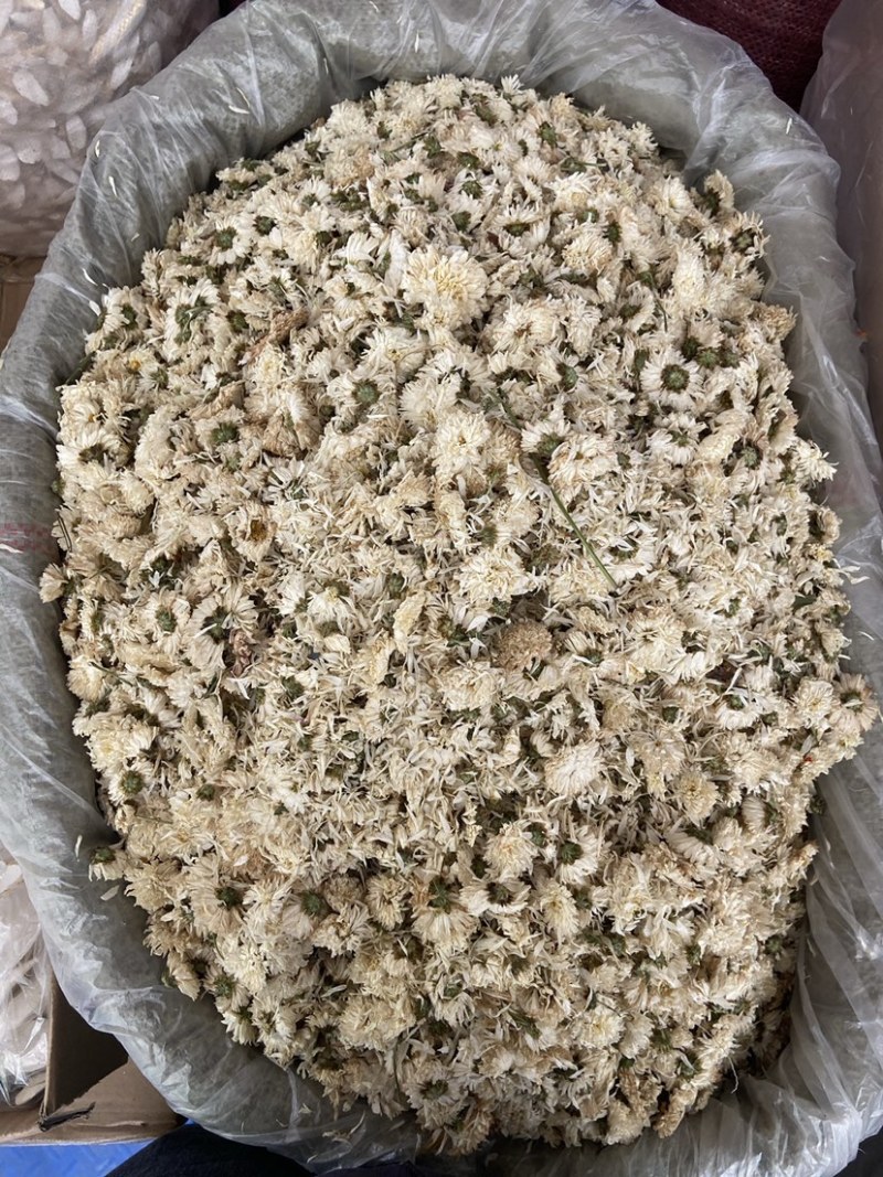 新货无硫白菊花茶散装野生黄山贡菊花大朵明目新花