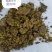 棉籽饼（主要用于牛羊饲料）