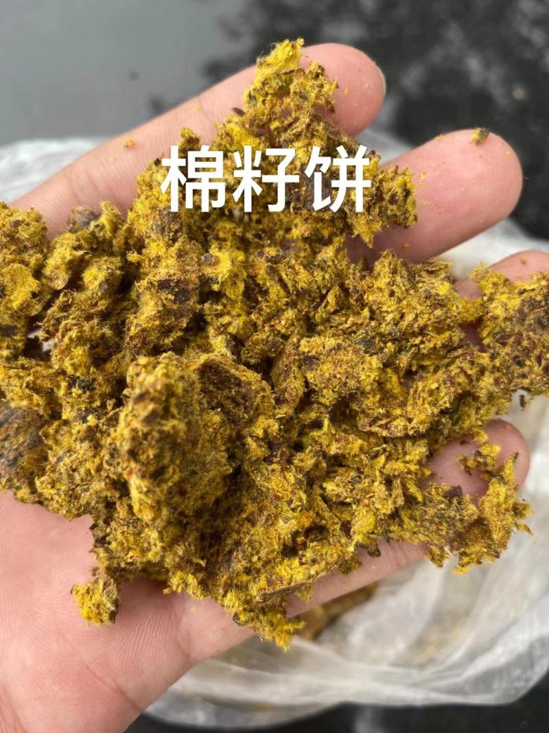 棉籽饼（主要用于牛羊饲料）