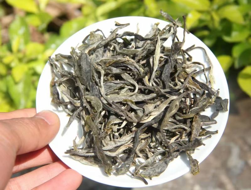 2023年明前春茶大朝山，一年一见500克