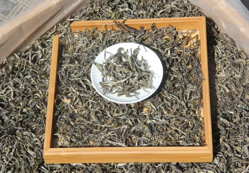 2023年明前春茶大朝山，一年一见500克