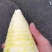 楠竹笋鲜货干货都有，需要的老板联系