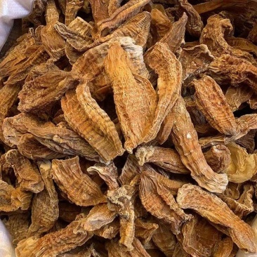 楠竹笋鲜货干货都有，需要的老板联系