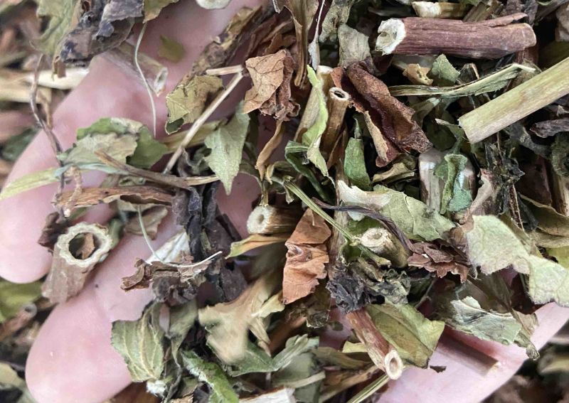 野生败酱草花败酱草中药材正品败酱草无硫新鲜干货