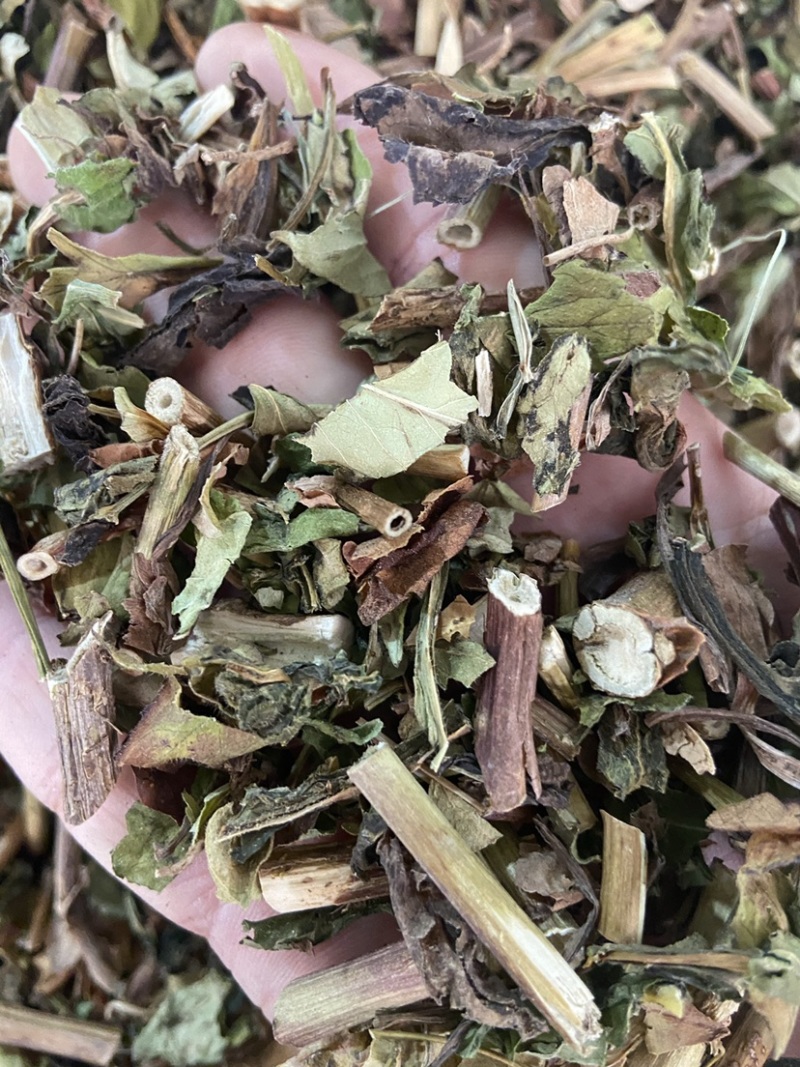 野生败酱草花败酱草中药材正品败酱草无硫新鲜干货