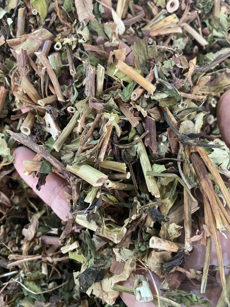野生败酱草花败酱草中药材正品败酱草无硫新鲜干货