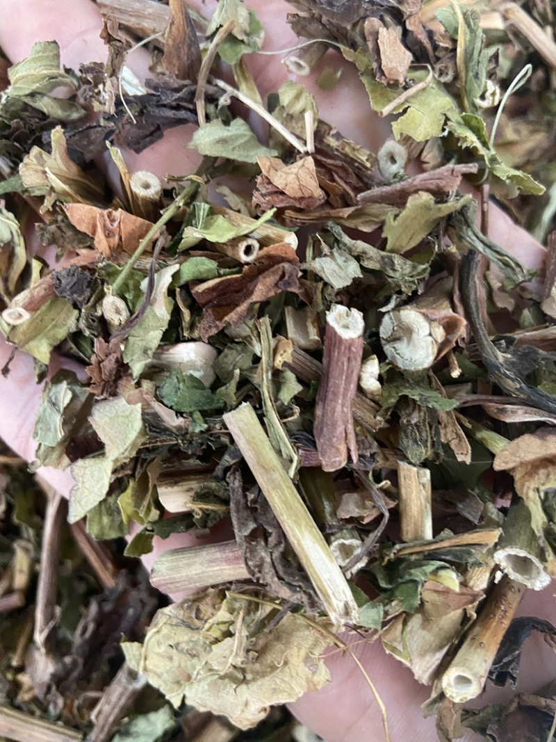 野生败酱草花败酱草中药材正品败酱草无硫新鲜干货