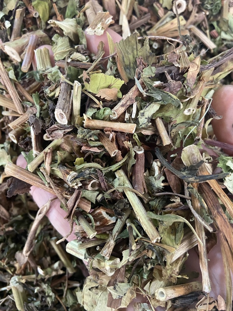 野生败酱草花败酱草中药材正品败酱草无硫新鲜干货