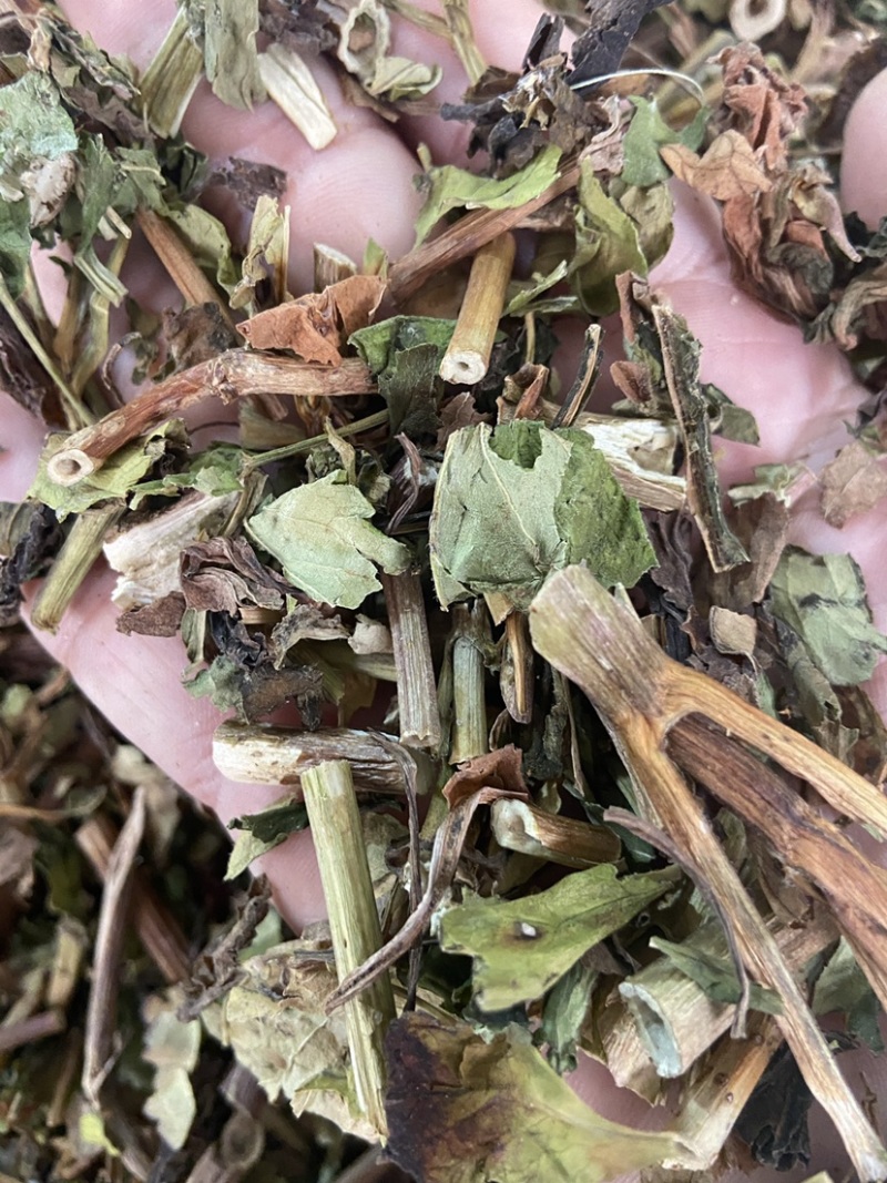 野生败酱草花败酱草中药材正品败酱草无硫新鲜干货