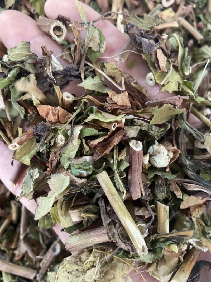 野生败酱草花败酱草中药材正品败酱草无硫新鲜干货