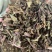 无硫猫须草野生猫须草茶牙努秒猫须公草新鲜干货
