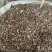 无硫猫须草野生猫须草茶牙努秒猫须公草新鲜干货