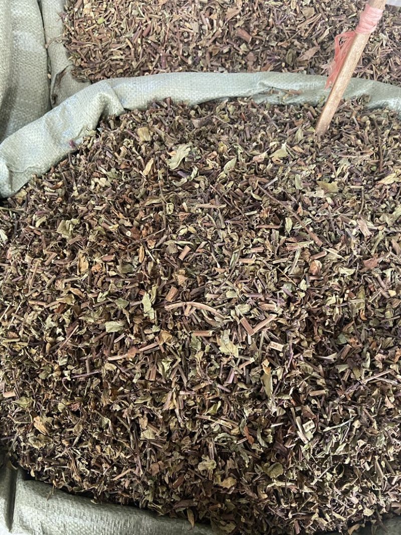 无硫猫须草野生猫须草茶牙努秒猫须公草新鲜干货