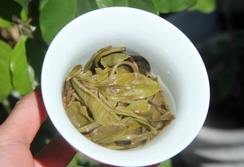 凤凰山头春生态大树茶（盒装）规格：500g/套，