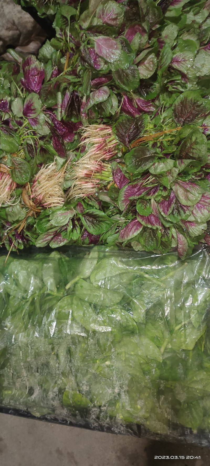 空心菜，豆腐菜，红苋菜