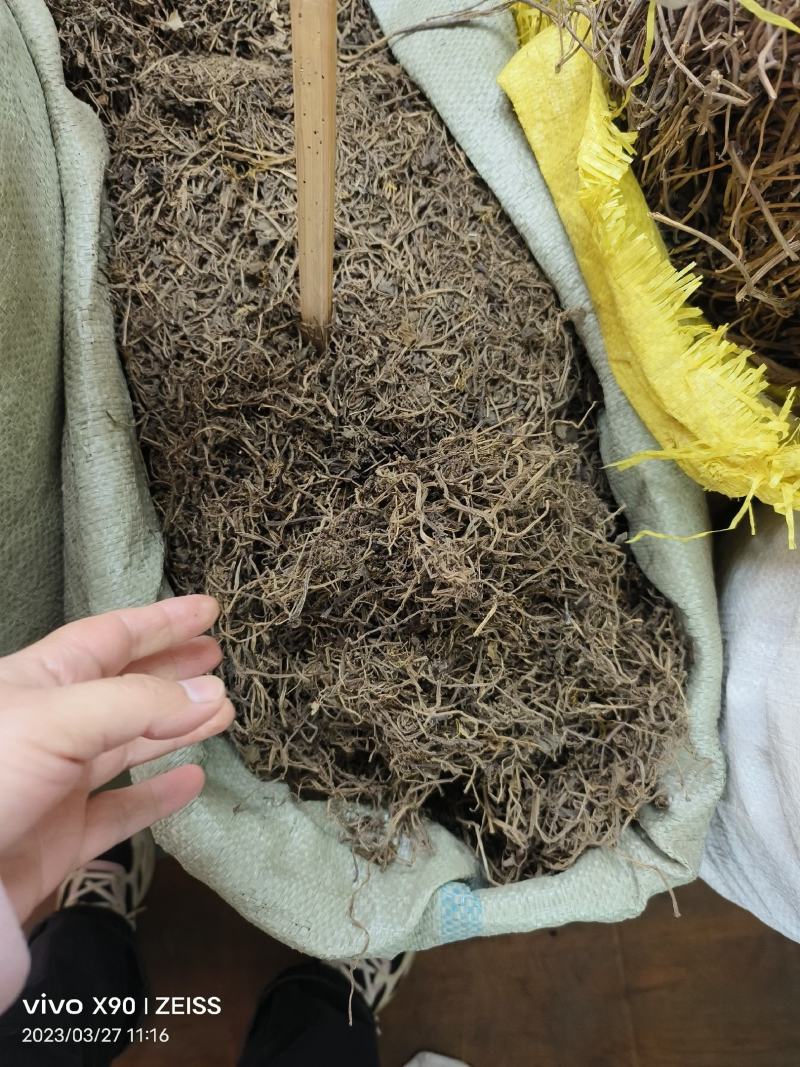 中药材石蝉草新货干度好颜色漂亮批发零售