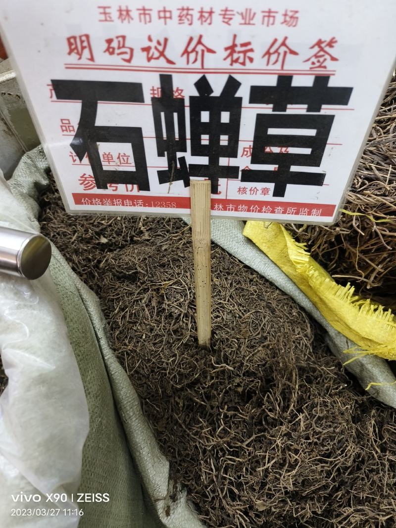 中药材石蝉草新货干度好颜色漂亮批发零售