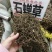 中药材石蝉草新货干度好颜色漂亮批发零售