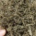 中药材石蝉草新货干度好颜色漂亮批发零售