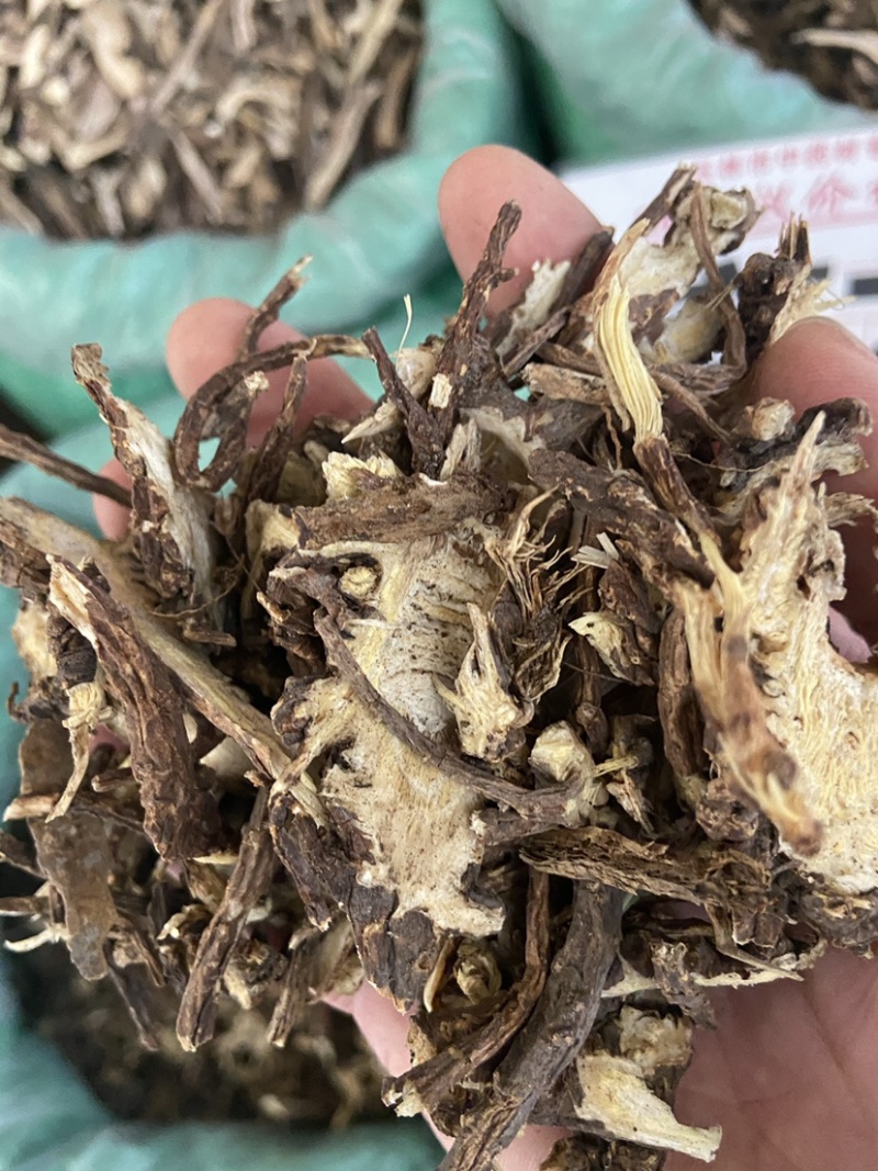 中药材无硫蒿本西芎藁本稿本高本辽藁本稿本蒿本片