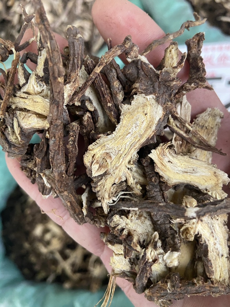 中药材无硫蒿本西芎藁本稿本高本辽藁本稿本蒿本片