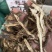 中药材批野生前胡中药材无硫前胡正宗野生前胡