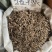 野生红骨含羞草根红茎骨感应草怕羞草根正宗原生