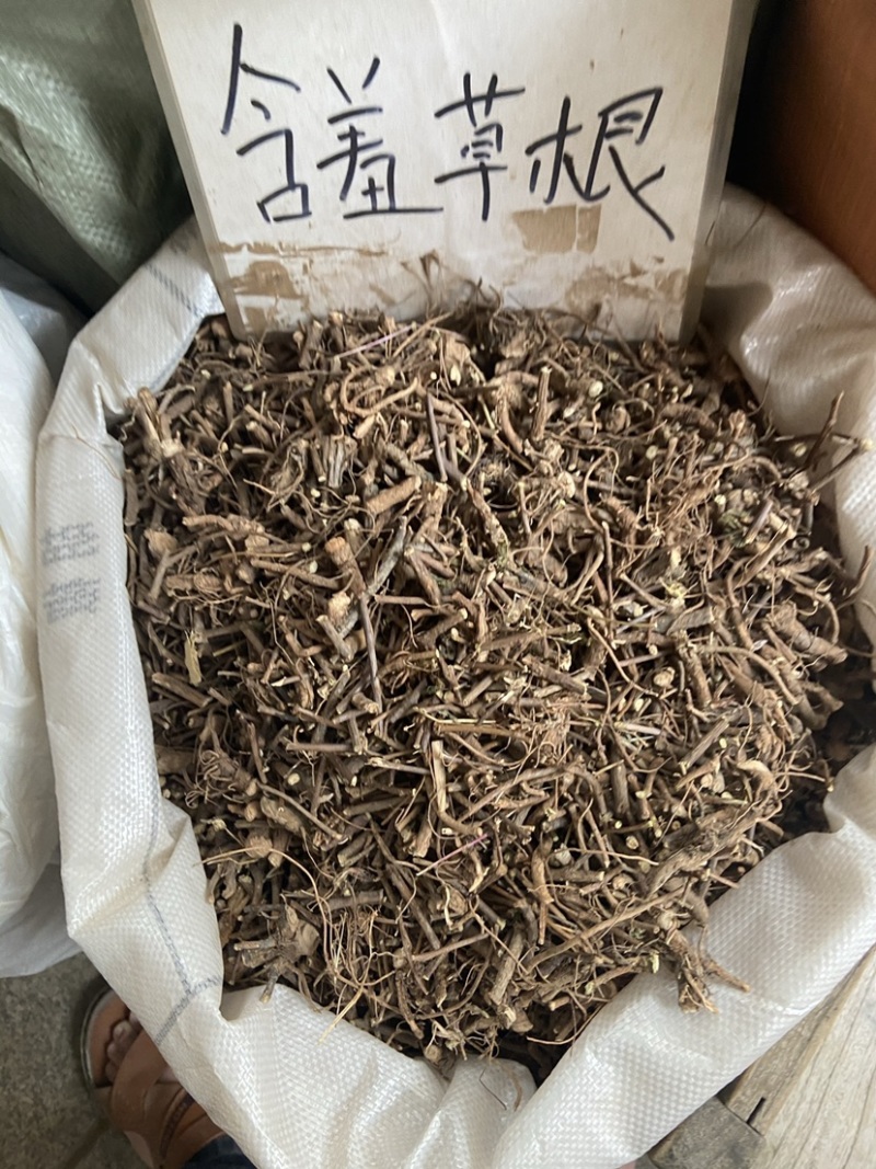 野生红骨含羞草根红茎骨感应草怕羞草根正宗原生