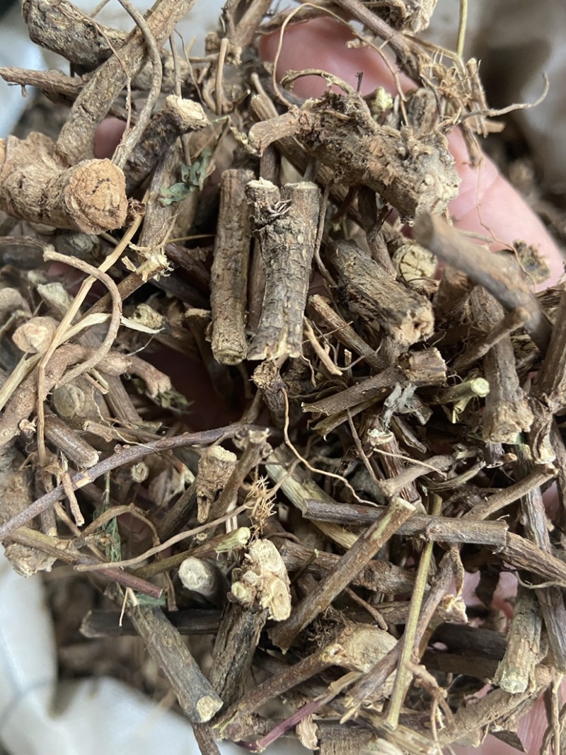 野生红骨含羞草根红茎骨感应草怕羞草根正宗原生