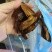 中药材甘草片炙甘草片货源充足批发零售