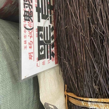 正宗黑草鬼羽箭野生黑马草中药材羽箭草黑骨草克草