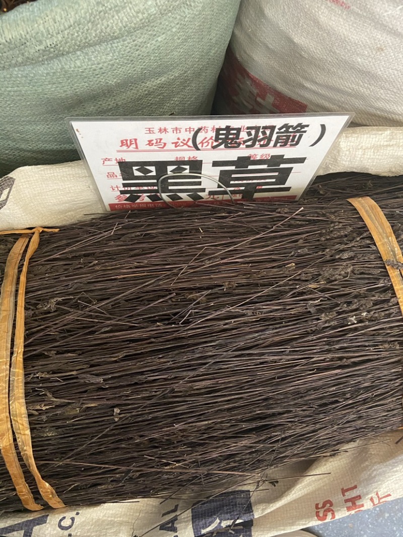 正宗黑草鬼羽箭野生黑马草中药材羽箭草黑骨草克草