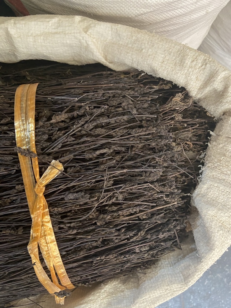 正宗黑草鬼羽箭野生黑马草中药材羽箭草黑骨草克草