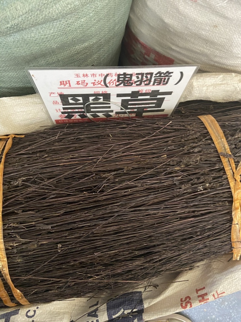 正宗黑草鬼羽箭野生黑马草中药材羽箭草黑骨草克草