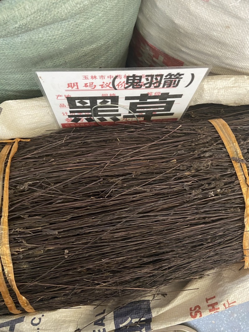 正宗黑草鬼羽箭野生黑马草中药材羽箭草黑骨草克草
