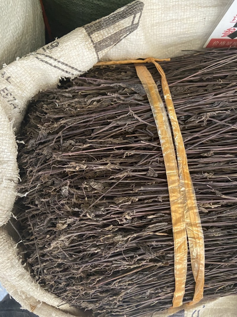 正宗黑草鬼羽箭野生黑马草中药材羽箭草黑骨草克草