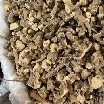 枸杞根新鲜野生地骨皮江苏地骨皮茶枸杞根皮红榴根