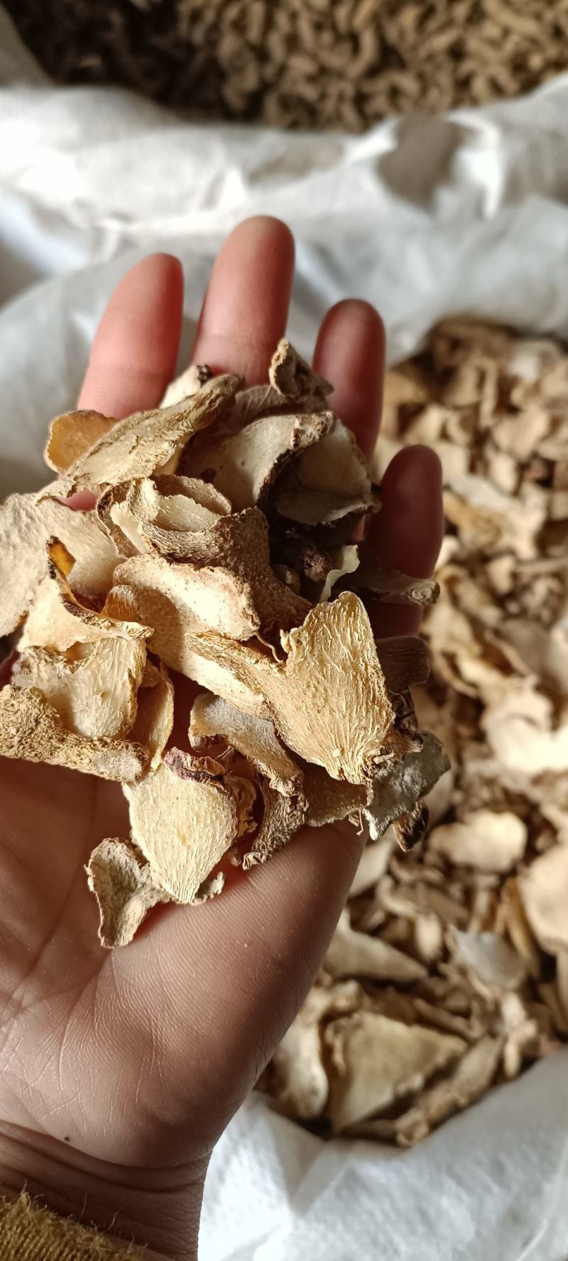 白芨，干津无杂质，地道药材，大货供应，欢迎选购