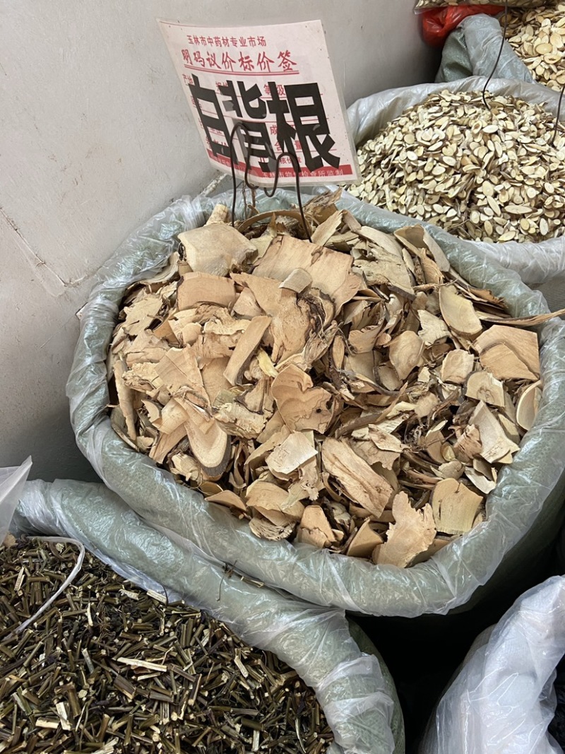 野生白背叶根无硫白背根,白膜根白朴根野桐根中药材