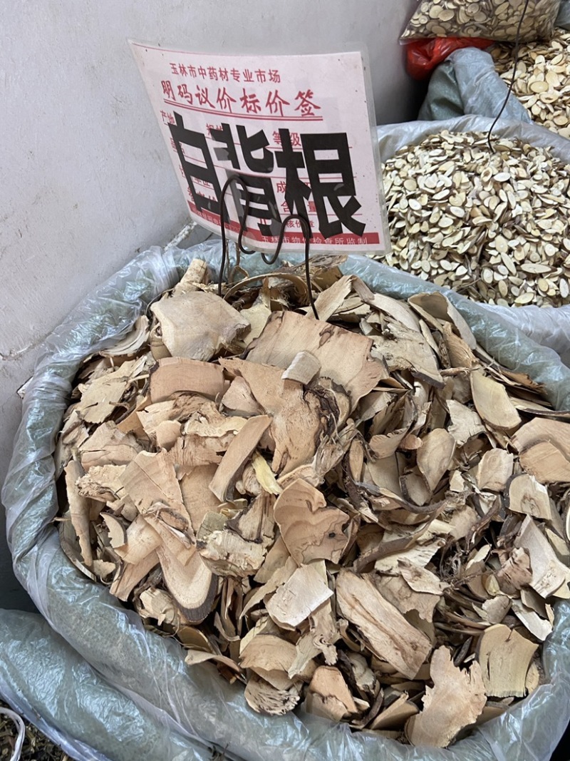 野生白背叶根无硫白背根,白膜根白朴根野桐根中药材